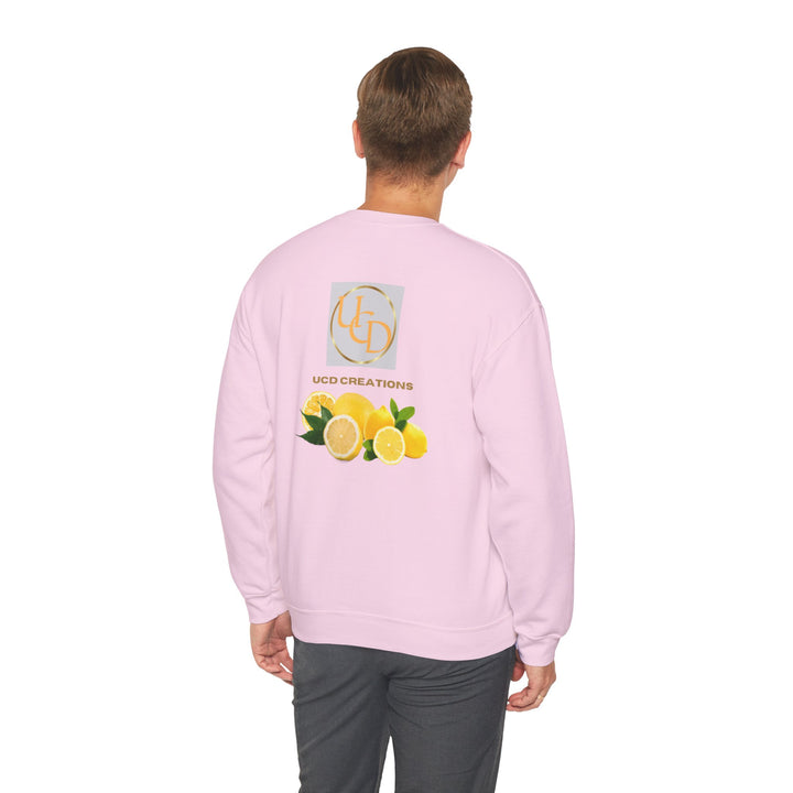 UCD Sweatshirt, Crewneck, unique, heavy weight, available in 4 colors and 6 sizes