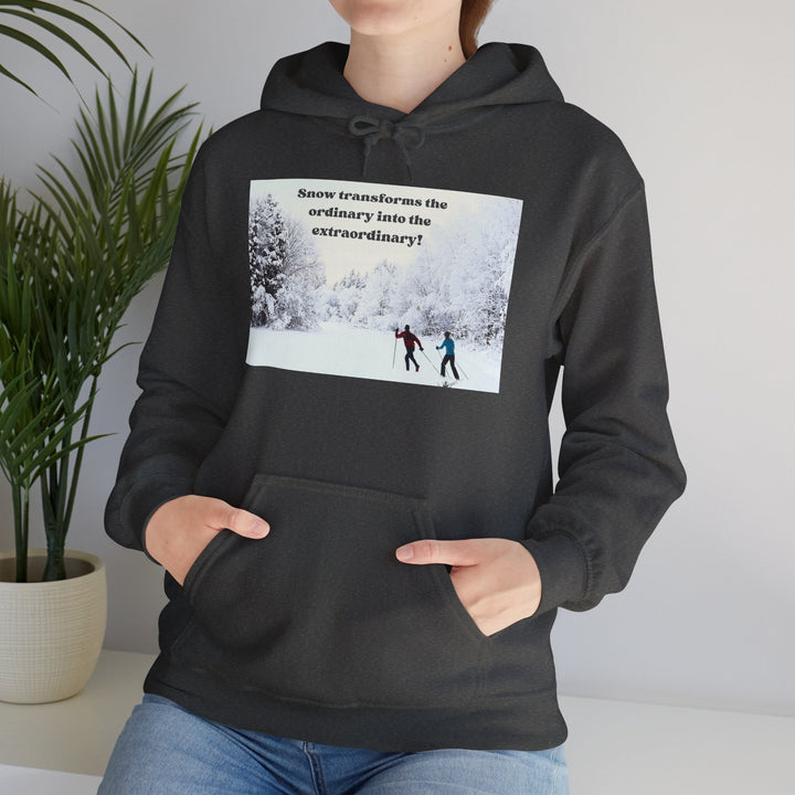 Winter Ski Adventure Hooded Sweatshirt, 6 colors, 6 sizes, Unisex