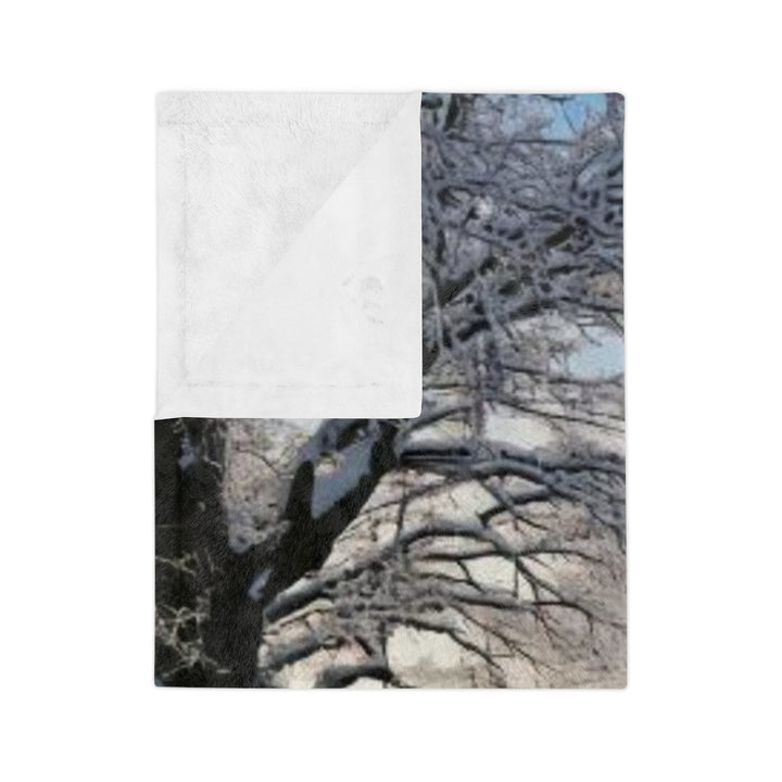 Snowy Country Walk Velveteen Microfiber Blanket, 3 sizes, TikTok ready